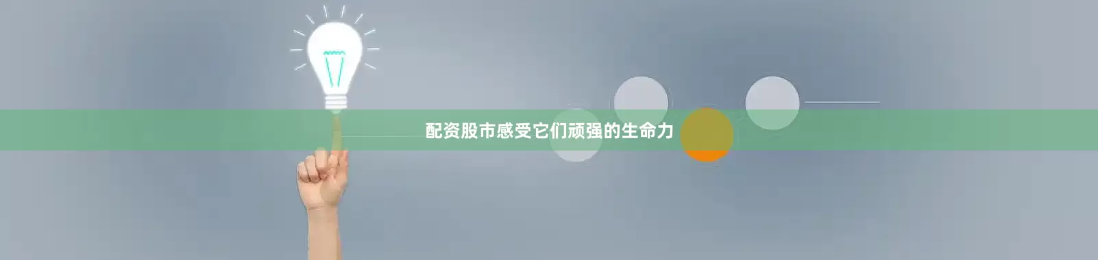 配资股市感受它们顽强的生命力